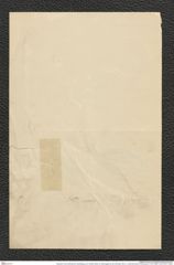 Nachlass Franz Steindachner, Bestätigung von Günther Beck von Mannagetta an die Intendanz des k.k. naturhistorischen Hofmuseums (13.05.1886), Inv.Nr. 28.01, Seite 2